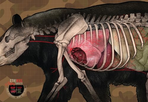 Bear Target 2-seitige Papier-Zielscheiben (3er-Pack) 68,6 x 99,1 cm für Bogenschießen und Gewehrjäger | Realistische pädagogische Anatomie-Illustration von EthiKill von EthiKill Anatomy Targets