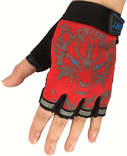 EurHouse Kinder Fahrradhandschuhe Bike Fingerlose Handschuh für Jungen und Mädchen Radhandschuhe Fingerhandschuh für Sport Mountainbike, Kletterei, Skaten, Rennrad Schwarz EurHouse Kinder Fahrradhandschuhe Bike Fingerlose Handschuh für Jungen und Mädchen Radhandschuhe Fingerhandschuh für Sport Mountainbike, Kletterei, Skaten, Rennrad Schwarz von EurHouse