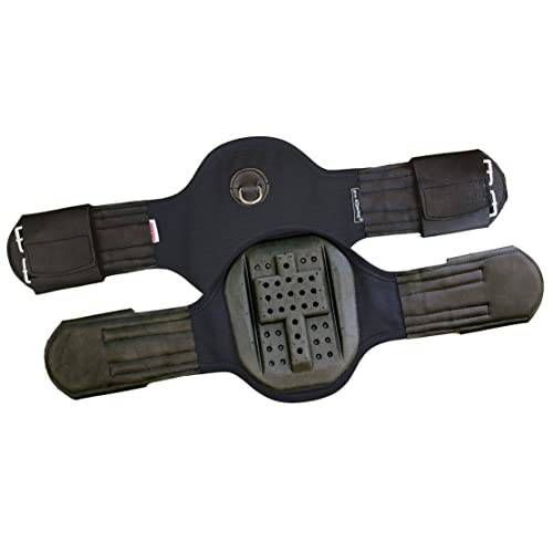 Euroriding Kurzgurt "Privilège Equitation" Dressage, Farbe: braun, Große: 65 Euroriding Kurzgurt "Privilège Equitation" Dressage, Farbe: braun, Große: 65 von Euroriding
