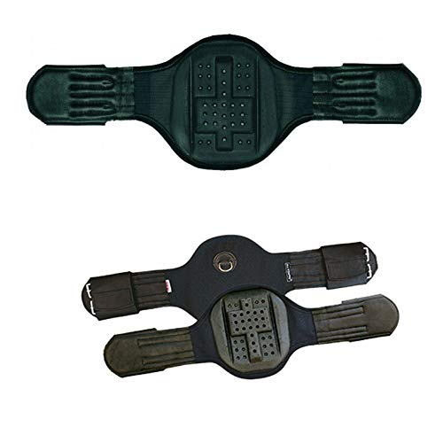Euroriding Kurzgurt "Privilège Equitation" Dressage, Farbe: schwarz, Große: 65 Euroriding Kurzgurt "Privilège Equitation" Dressage, Farbe: schwarz, Große: 65 von HKM