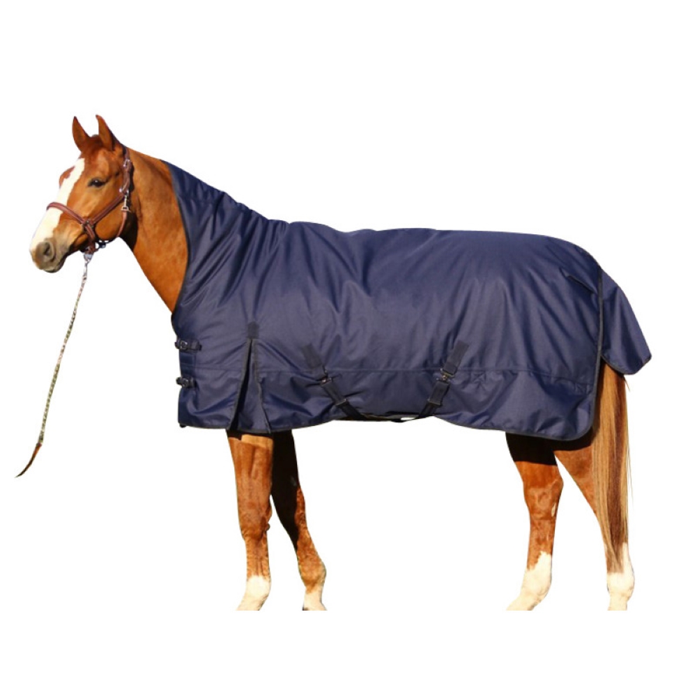 Euroriding Outdoor Decke Kodiak High Neck Heavy 200 g Euroriding Outdoor Decke Kodiak High Neck Heavy 200 g von Euroriding