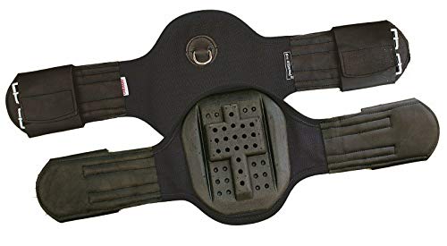 Euroriding Sattelgurt Kurzgurt Privilege Equitation braun 60 cm Euroriding Sattelgurt Kurzgurt Privilege Equitation braun 60 cm von Euroriding