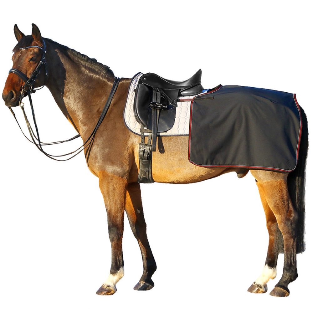 Euroriding Softshell Nierendecke Euroriding Softshell Nierendecke von Euroriding