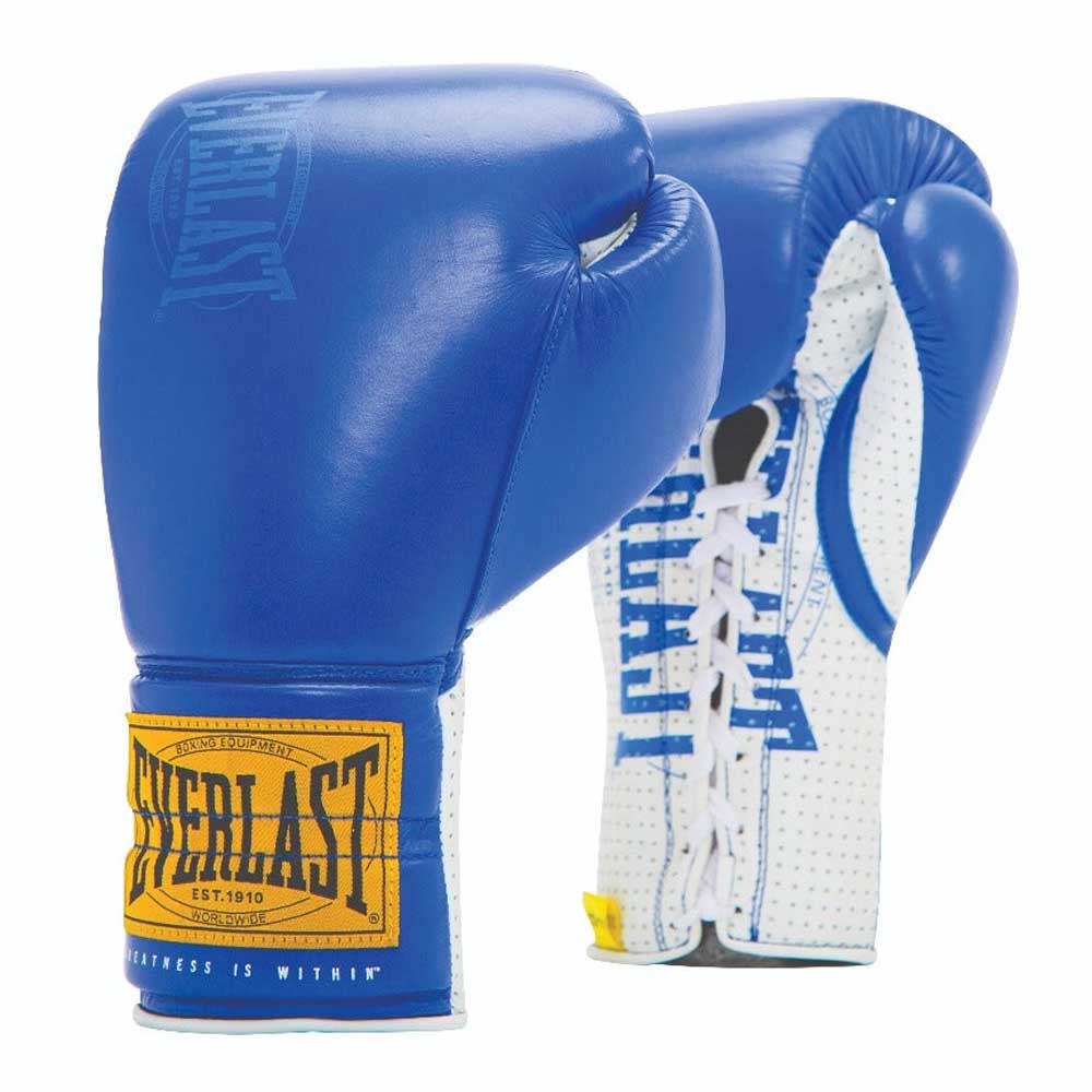 Everlast 1910 Sparring Laced Artificial Leather Boxing Gloves  14 oz von Everlast