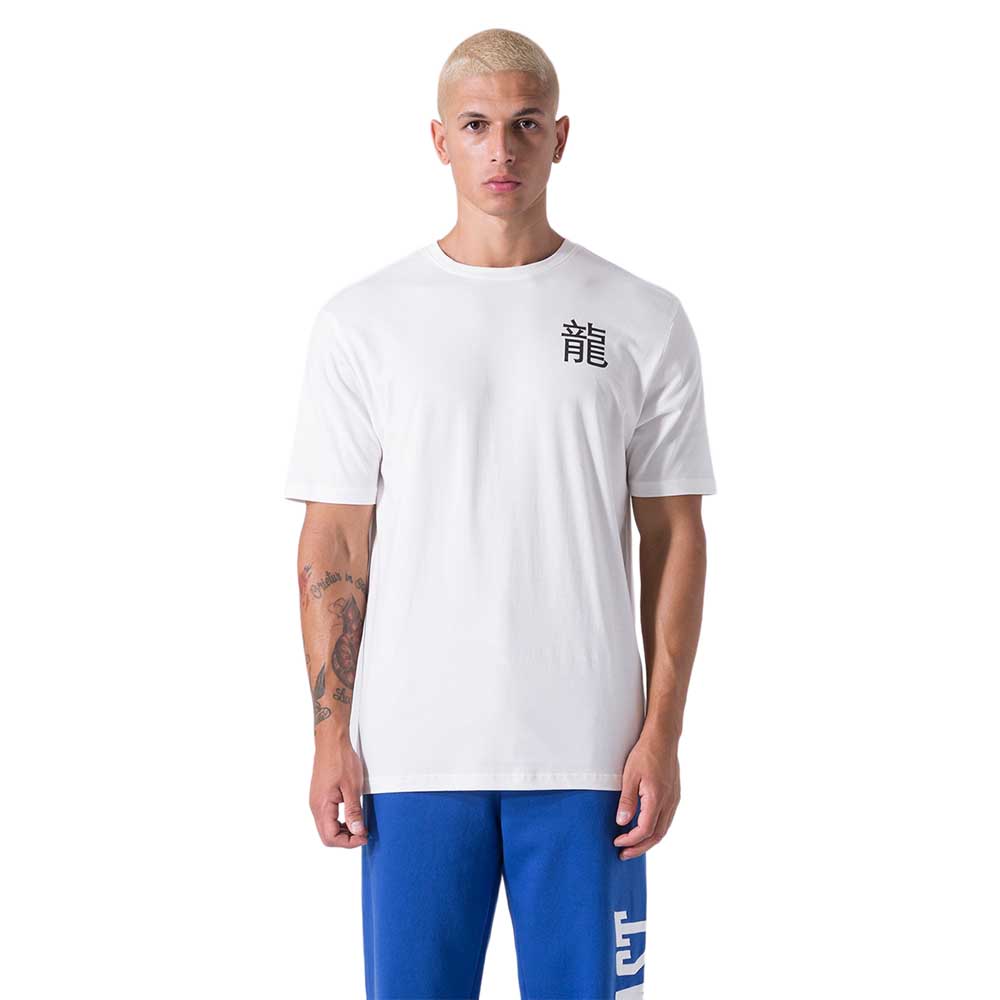 Everlast Jersey Dragon Short Sleeve T-shirt Weiß M Mann Everlast Jersey Dragon Short Sleeve T-shirt Weiß M Mann von Everlast