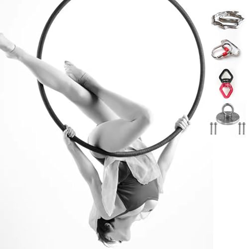 Aerial Hoop, Lyra Hoop Set Edelstahl 85cm/90cm Single Point Hoops Circus für Anfänger Profis, Aerial Ring Kit, Aerial Yoga Ausrüstung,85cm-2.5cm von ExoticaBlend