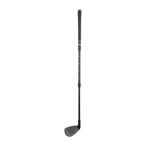 F Fityle Golf-Chipper-Schläger, Golf-Chipper, tragbares Golf-Zubehör als Geschenk, Golf-Wedge, Golf-Chipping-Übungsschläger, für Übungsanfänger, Schwarz von F Fityle