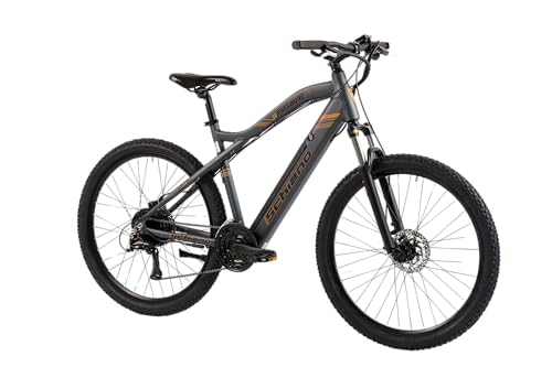 F.lli Schiano Braver, E Bike Mountainbike, 27.5 Zoll, 36V 11.6Ah Abnehmbarer Akku, Motor 250W 50Nm, MTB Ebike für Herren/Damen, Grau F.lli Schiano Braver, E Bike Mountainbike, 27.5 Zoll, 36V 11.6Ah Abnehmbarer Akku, Motor 250W 50Nm, MTB Ebike für Herren/Damen, Grau von F.lli Schiano