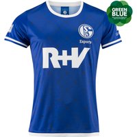Trikot-Esport von FC Schalke 04