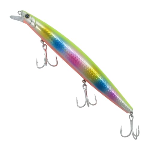 FGDTREE Schwimmende Harte Köder 32 G Wobbler Forellen Zander Köder 16 cm Swimbait Minnow Angelköder Zum Salzwasserfischen von FGDTREE