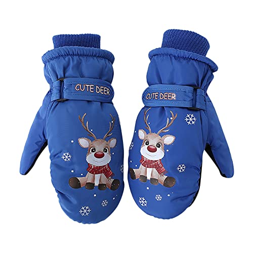 FGUUTYM Winterhandschuhe Schnee Ski wasserdichte wärmeisolierte Handschuhe für Kleinkind Jugend für kaltes Wetter Warme Damenhandschuhe (Blue, M) von FGUUTYM