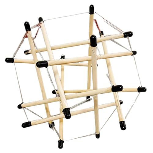 FHUILIJH Tensegrity Spine Tensegrity Mode Wirbelsäulen- und Beckenspannung Gesamtmodell Faszienspannung Lehrmittel,24pcs,12cm FHUILIJH Tensegrity Spine Tensegrity Mode Wirbelsäulen- und Beckenspannung Gesamtmodell Faszienspannung Lehrmittel,24pcs,12cm von FHUILIJH