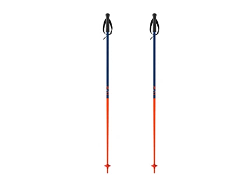 Fischer Gt 18 Stangen 130 cm Fischer Gt 18 Stangen 130 cm von Fischer