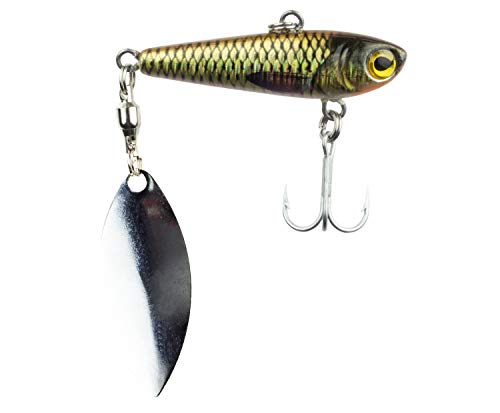 FISHN REALSPINNY Spinnerbait, Jig, Spinnerköder, Gewicht: 20g, Größe: 5,cm, Spinnerblatt: 3,8cm, Kunstköder, zum Spinnfischen auf Raubfische wie Hecht, Barsch, Forelle, Barsch, Zander von FISHN