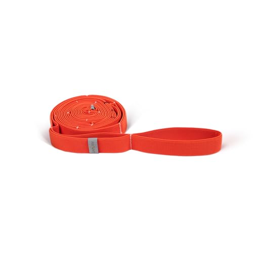 FLEXVIT Multi Fitnessband Health (Orange)- Fitnessbänder für effektives Ganzkörpertraining, Physiotherapeutische Zwecke und Hautstraffung, 3 Stärken, für Anfänger und Profis, Waschbar FLEXVIT Multi Fitnessband Health (Orange)- Fitnessbänder für effektives Ganzkörpertraining, Physiotherapeutische Zwecke und Hautstraffung, 3 Stärken, für Anfänger und Profis, Waschbar von FLEXVIT