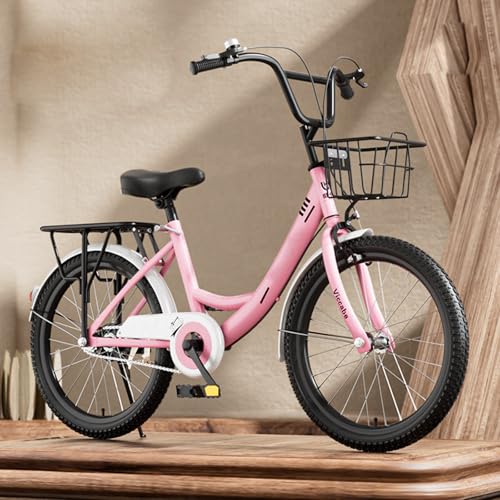 Klapprad 22 20 Zoll Carbonstahlrahmen Doppelte V Bremse Leichtes Fahren Geeignet für Erwachsene Jugendliche B,18 inches von FMBLDM