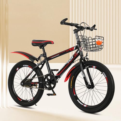 Mountainbike 24 Zoll Doppelstoßdämpfung Doppelscheibenbremse Geschwindigkeitsänderung Herren Und Damenfahrrad Student Outdoor-Sport A,22 inches von FMBLDM