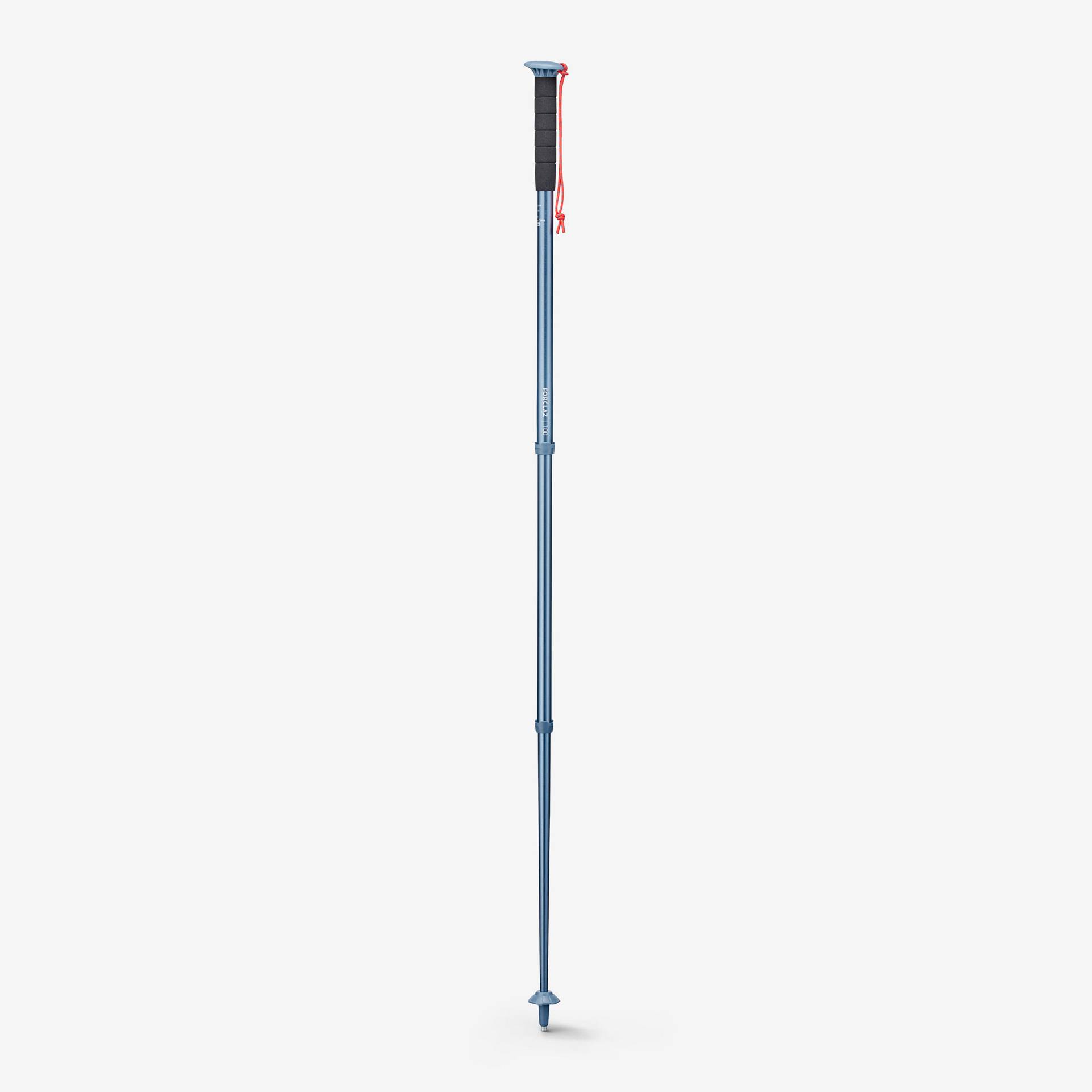 Wanderstock MT100 Bestpreis 1 Stück blau Wanderstock MT100 Bestpreis 1 Stück blau von FORCLAZ
