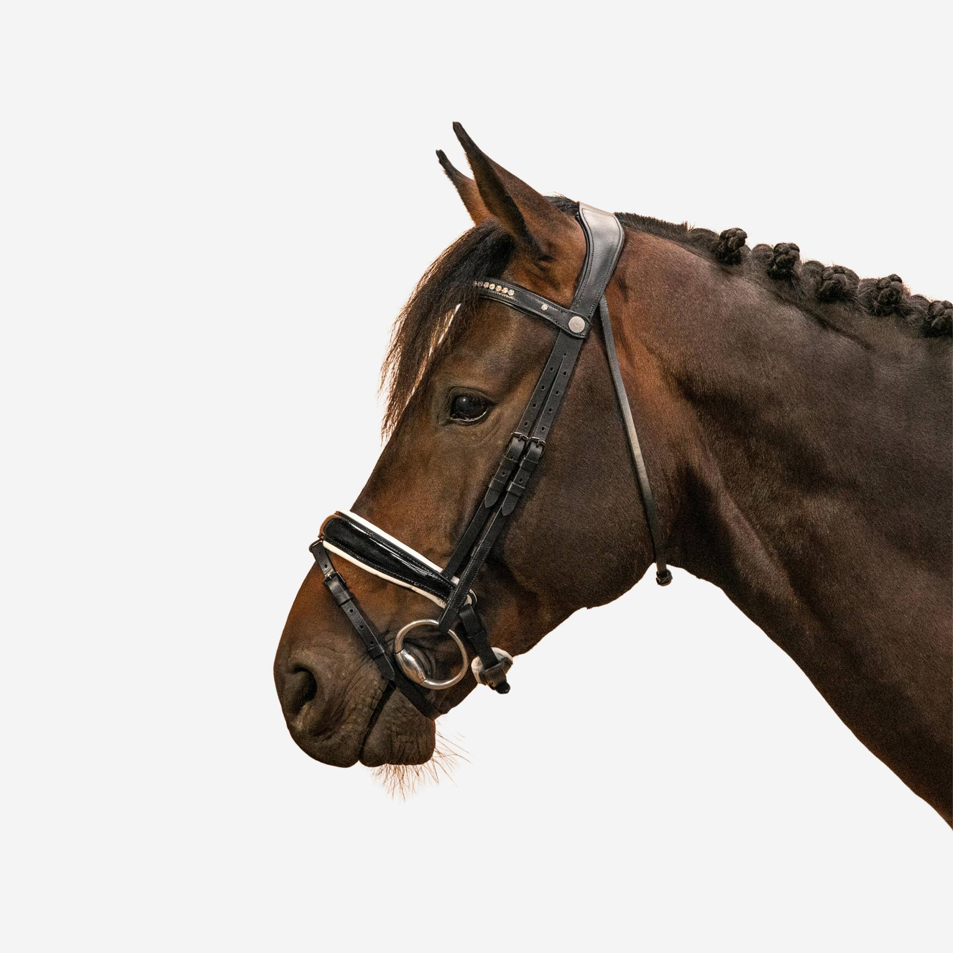 Dressur-Trense Pferd/Pony - 900 schwarz/weiss von FOUGANZA