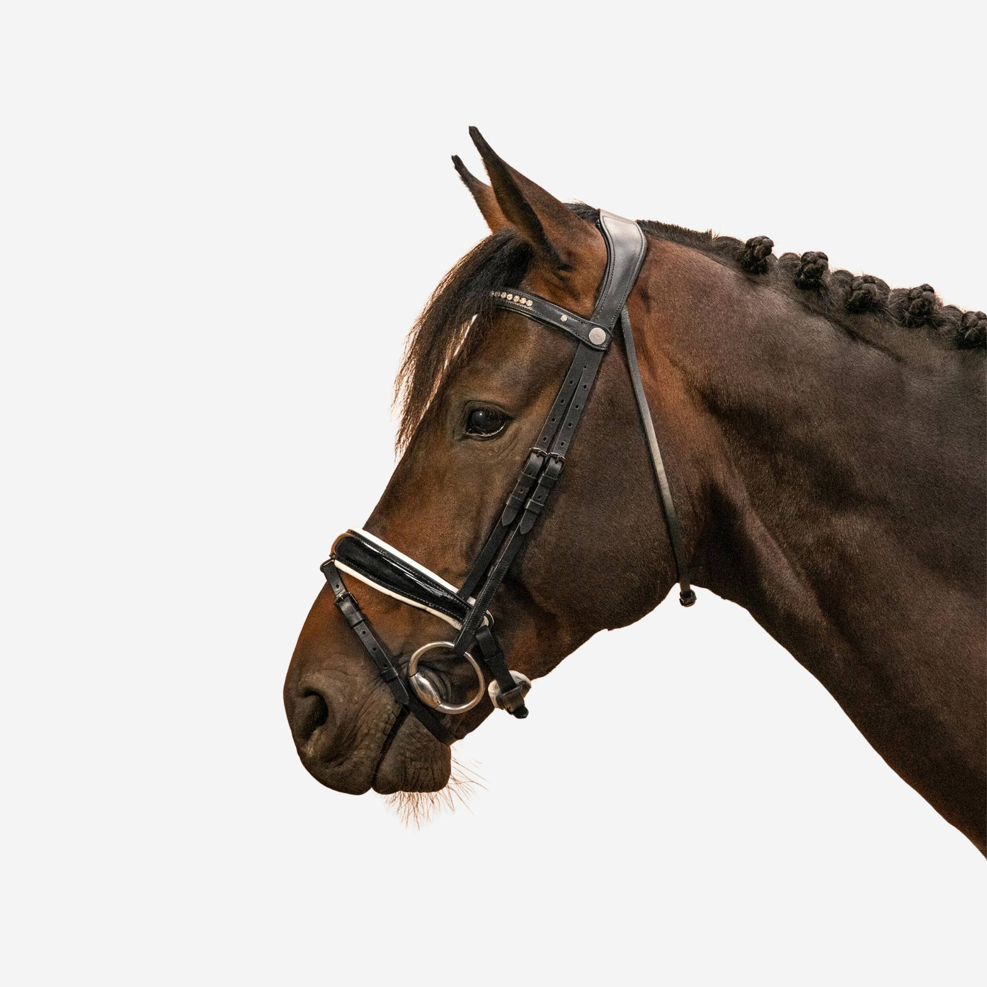 Dressur-Trense Pferd/Pony - 900 schwarz/weiss Dressur-Trense Pferd/Pony - 900 schwarz/weiss von FOUGANZA