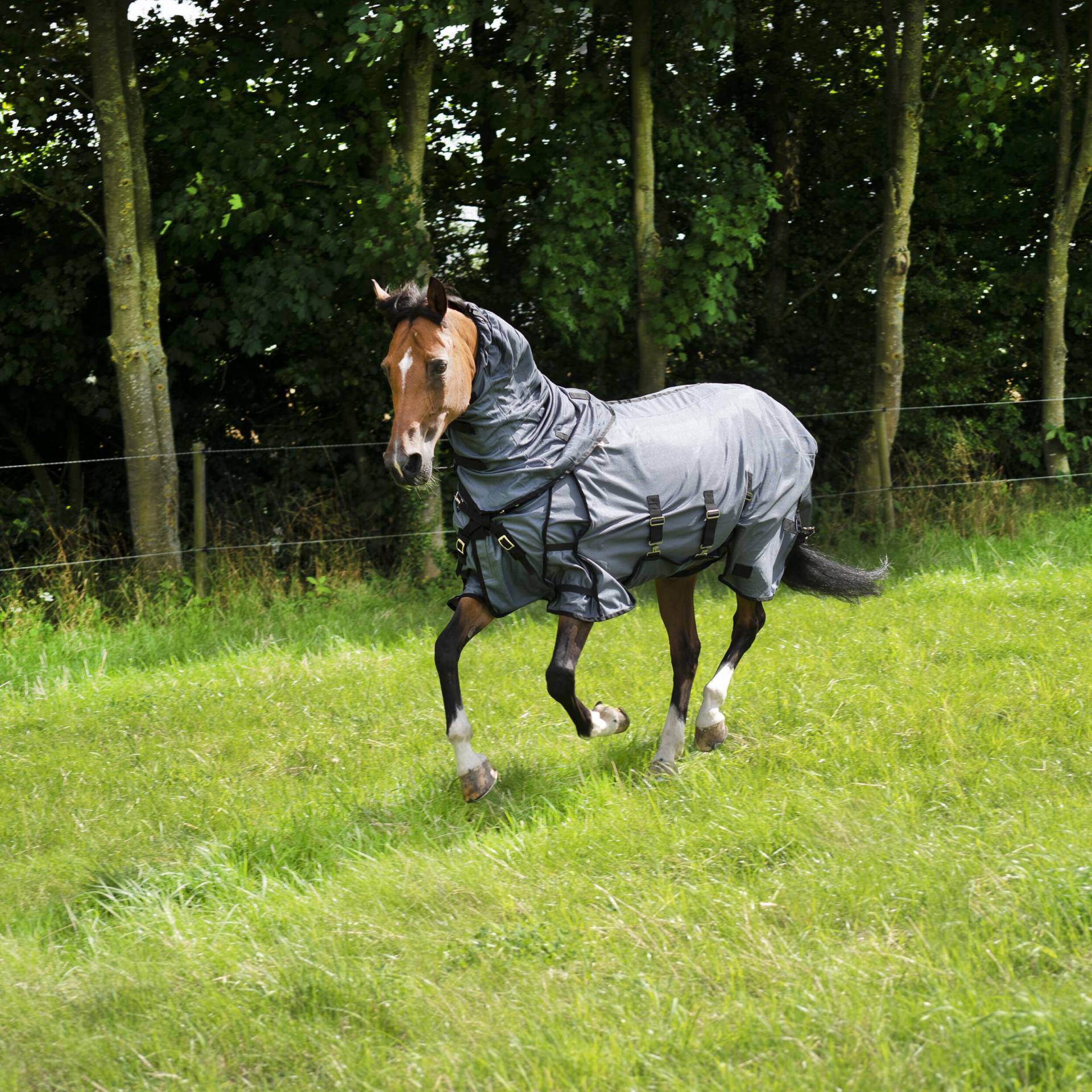 Fliegendecke Pferd/Pony - Comfort grau Fliegendecke Pferd/Pony - Comfort grau von FOUGANZA