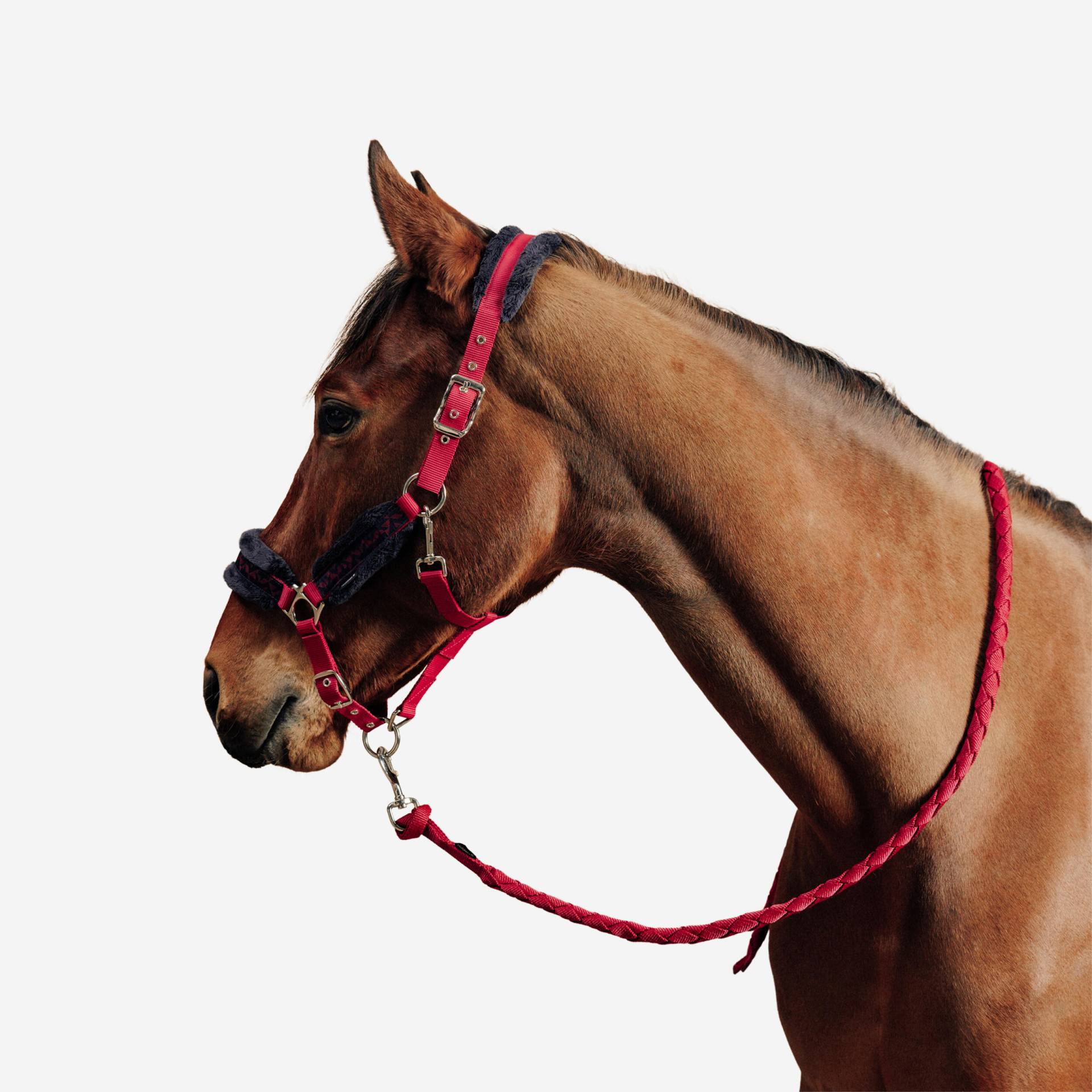 Halfter + Führstrick Pferd/Pony - Comfort rosa/blauschwarz von FOUGANZA