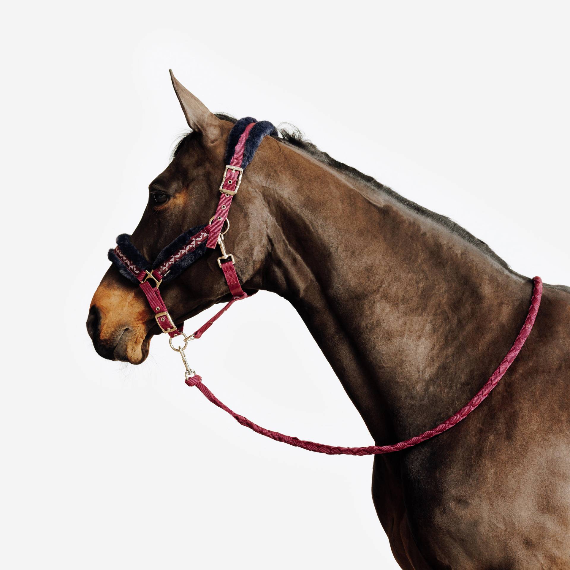 Halfter + Führstrick Pferd/Pony - Comfort bordeaux/blau Halfter + Führstrick Pferd/Pony - Comfort bordeaux/blau von FOUGANZA