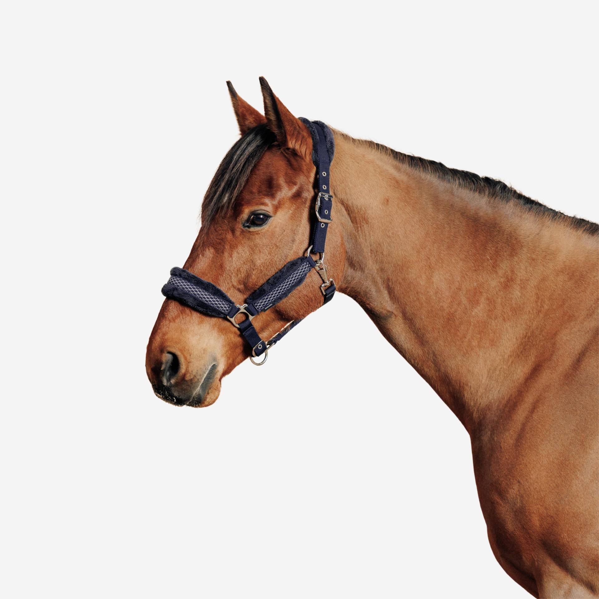 Halfter Comfort Pferd schwarzblau Halfter Comfort Pferd schwarzblau von FOUGANZA