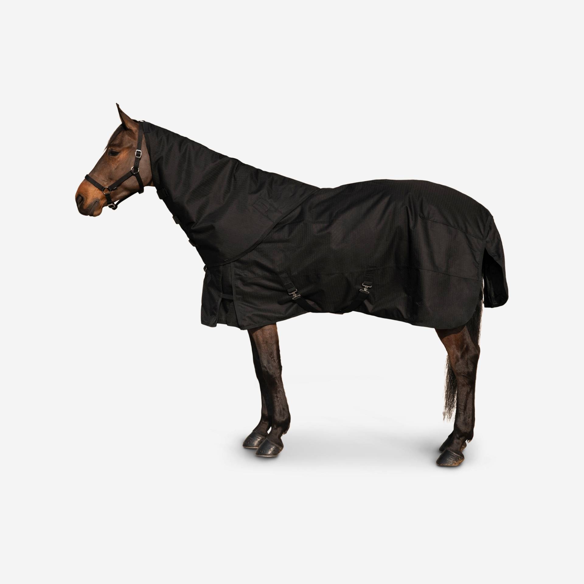 Halsteil Neckcover Pferd - Allweather 200 schwarz Halsteil Neckcover Pferd - Allweather 200 schwarz von FOUGANZA
