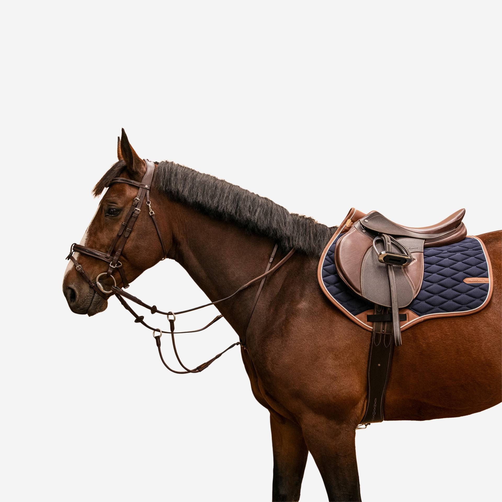 Martingal elastisch Pferd/Pony - dunkelbraun Martingal elastisch Pferd/Pony - dunkelbraun von FOUGANZA