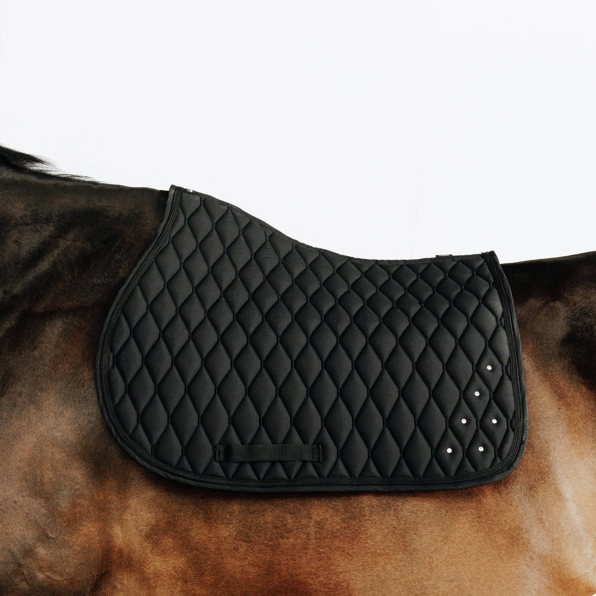 Schabracke 500 Strass Pferd/Pony schwarz Schabracke 500 Strass Pferd/Pony schwarz von FOUGANZA