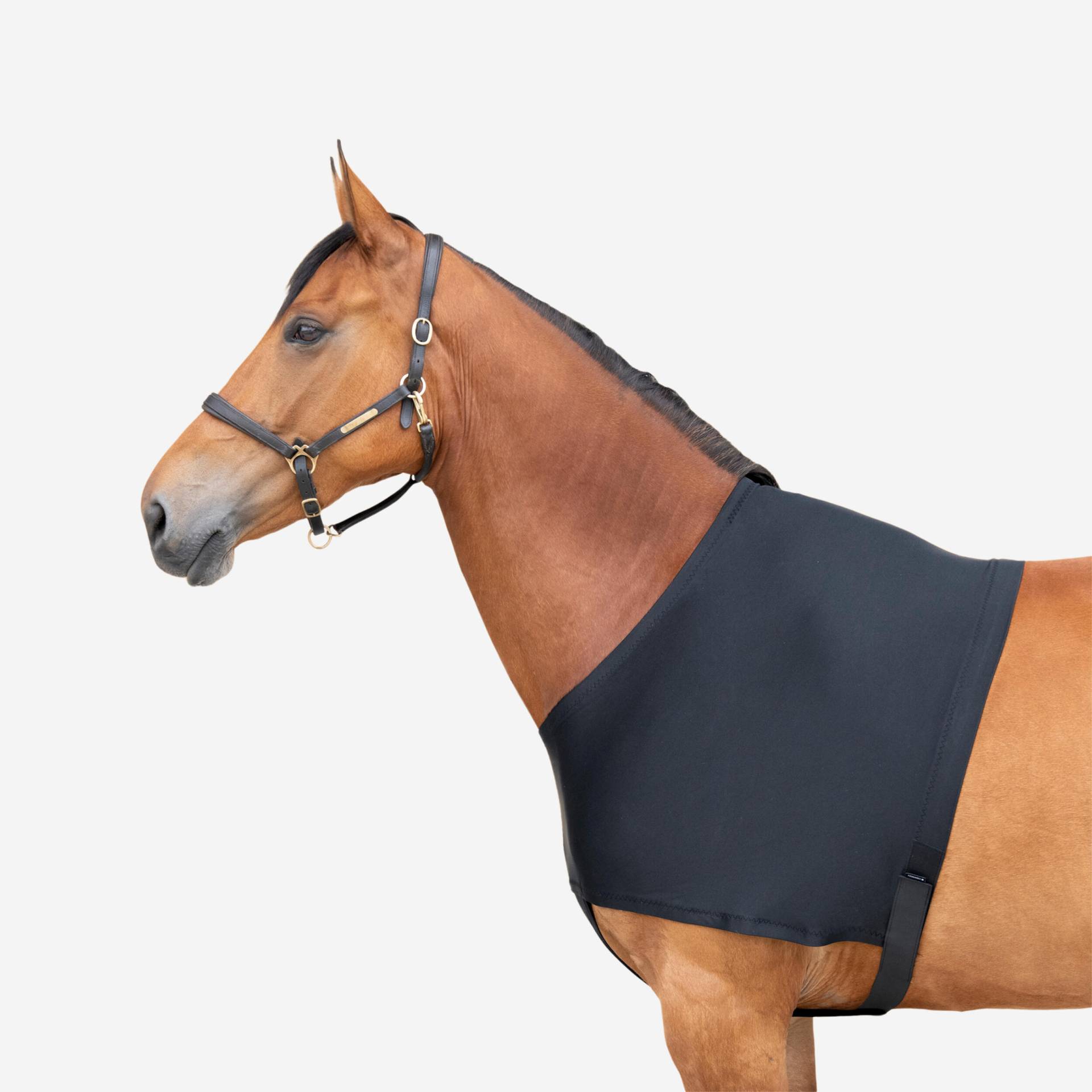 Schulterschutz Unterzieher Pferd/Pony - schwarz Schulterschutz Unterzieher Pferd/Pony - schwarz von FOUGANZA
