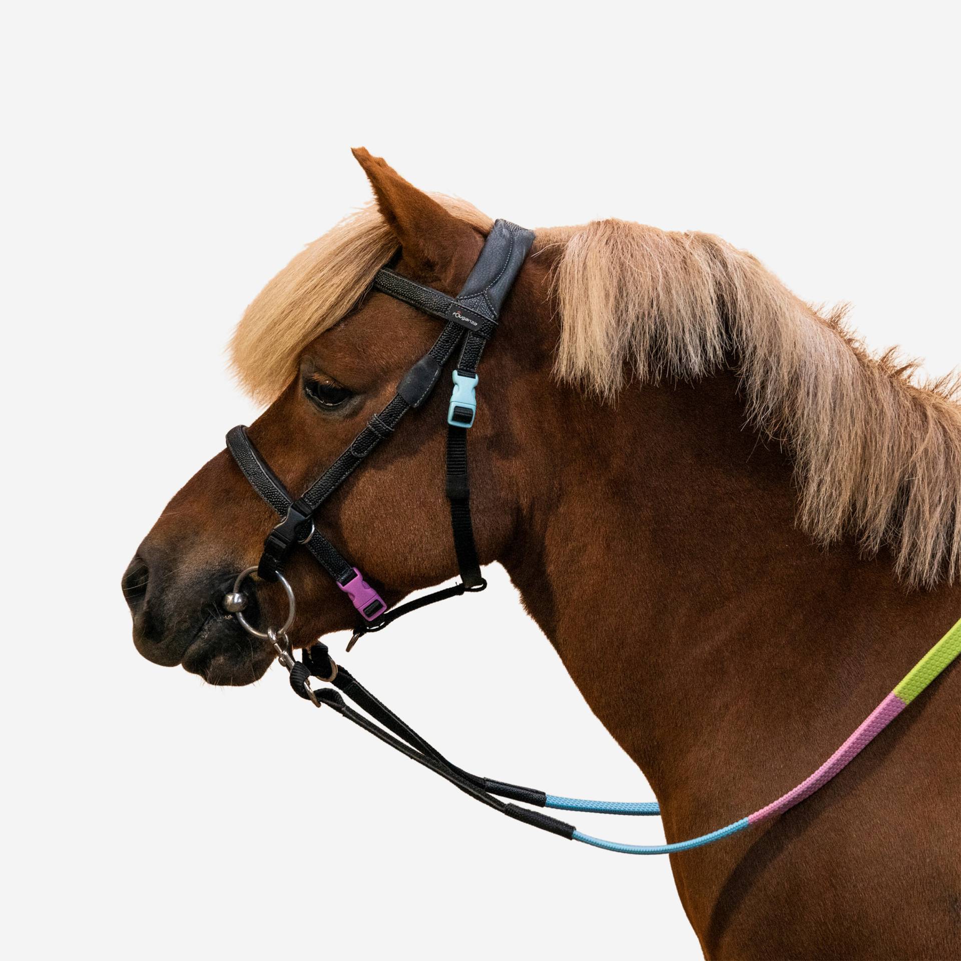 Trense + Zügel 100 Pony schwarz Trense + Zügel 100 Pony schwarz von FOUGANZA