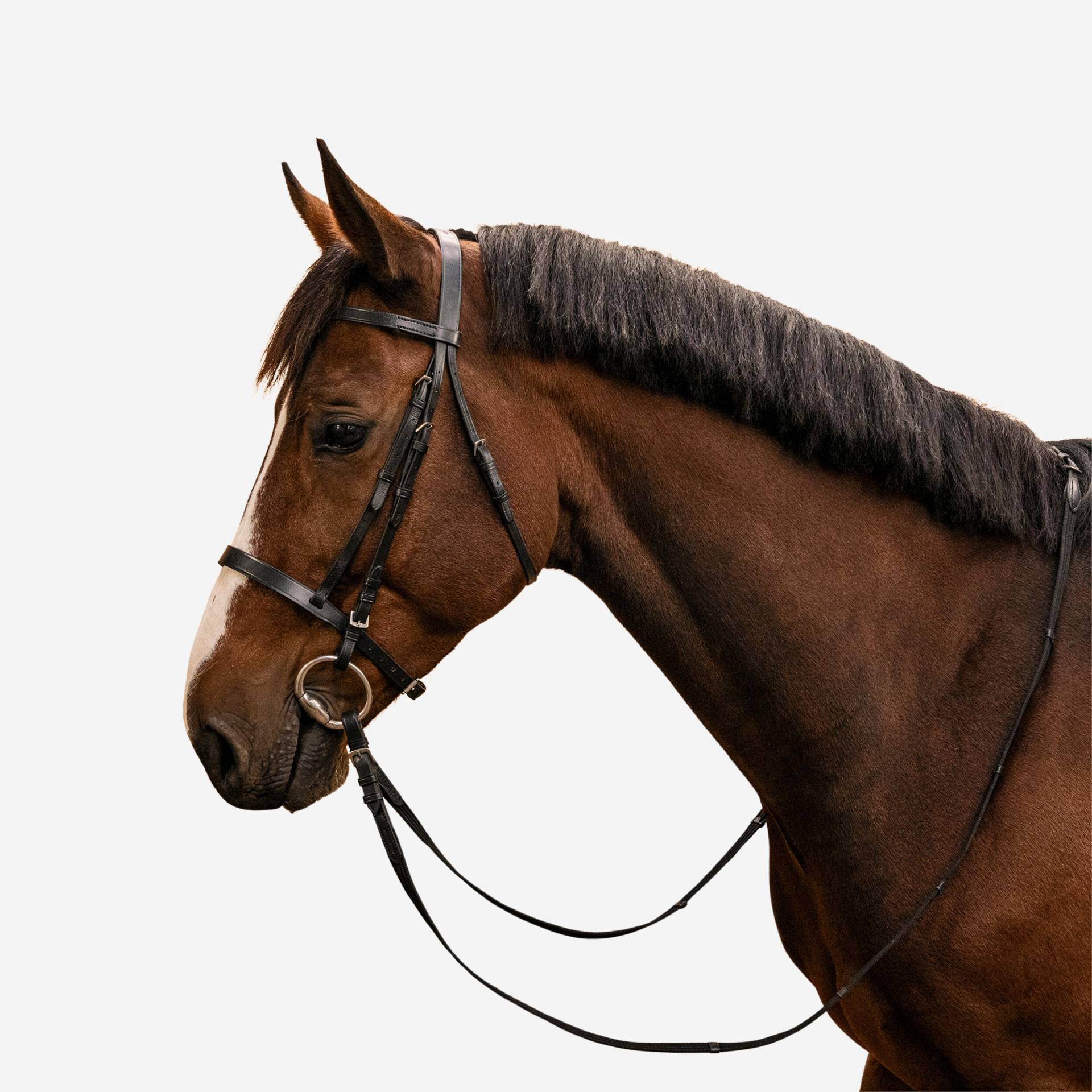 Trense + Zügel Schooling Leder Pony/Pferd schwarz von FOUGANZA
