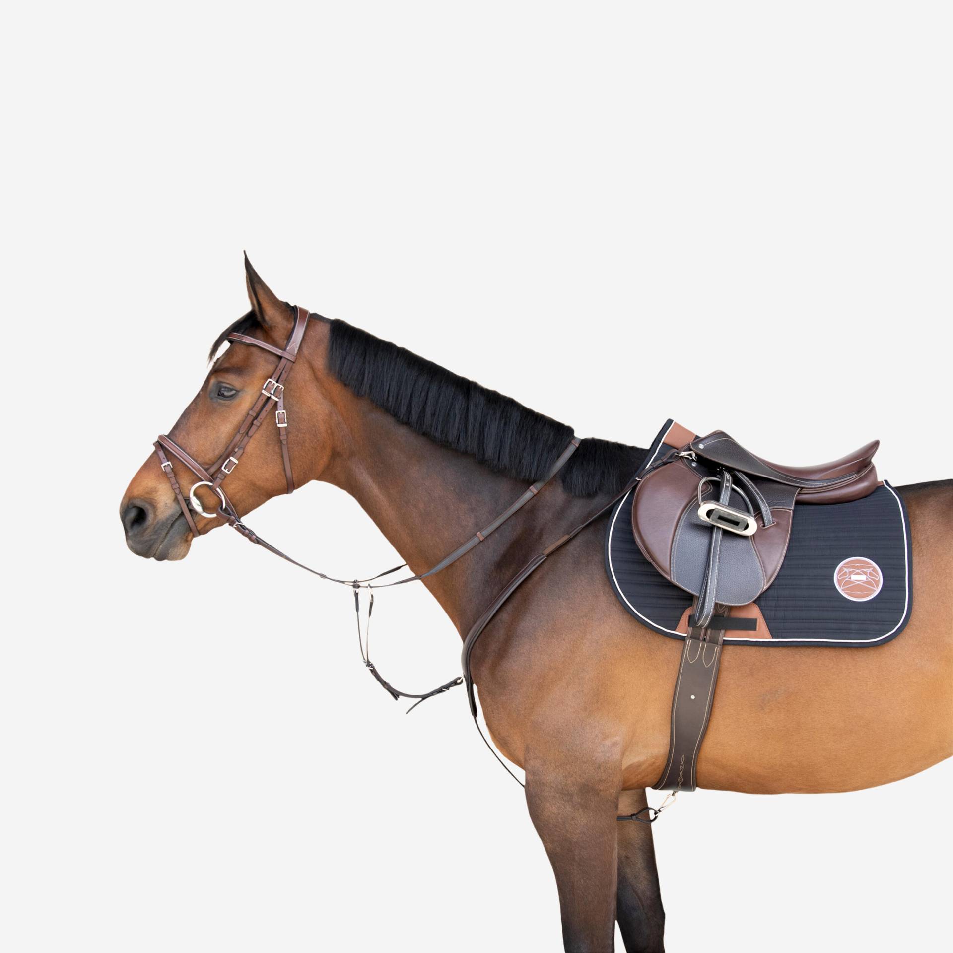 Vorderzeug 3-Punkt Pferd/Pony - dunkelbraun Vorderzeug 3-Punkt Pferd/Pony - dunkelbraun von FOUGANZA