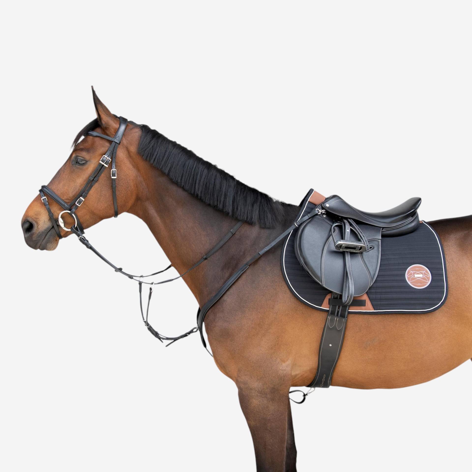 Vorderzeug 3-Punkt Pferd/Pony - schwarz Vorderzeug 3-Punkt Pferd/Pony - schwarz von FOUGANZA