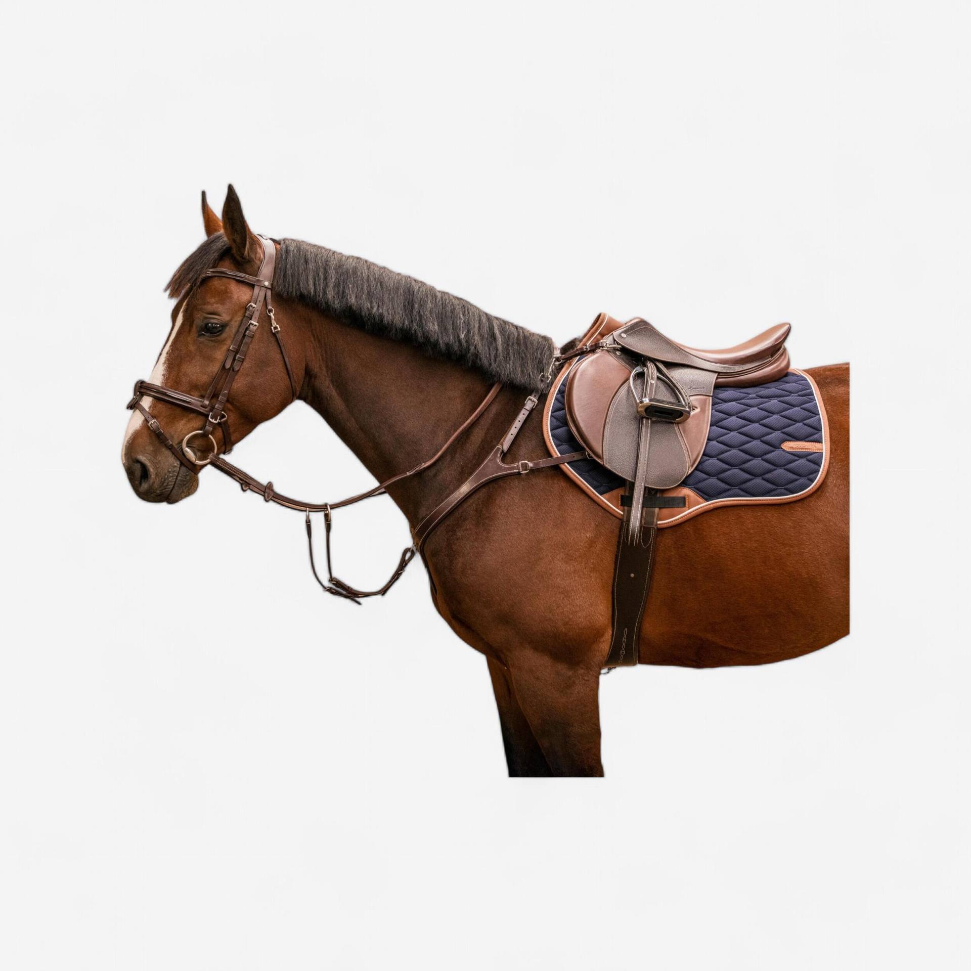 Vorderzeug 5-Punkt Pferd/Pony - dunkelbraun Vorderzeug 5-Punkt Pferd/Pony - dunkelbraun von FOUGANZA