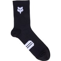 Fox 6" Ranger Prepack Socken Fox 6" Ranger Prepack Socken von FOX