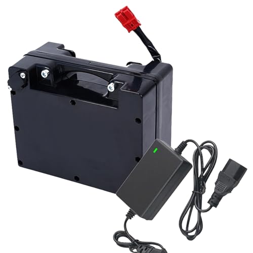 FREEDOH 24-Volt-Elektrorollstuhlbatterie 15AH 18AH 20AH 25AH 30AH 40AH 50AH 60AH Lithiumbatterie 24-V-Ersatzbatterie mit Ladegerät für 0-1500-W-Motor,24v30ah von FREEDOH