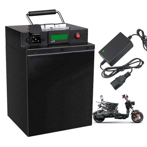 FREEDOH 48 Volt E-Bike Akku 48V LiFePO4 Akku 48V Lithium Akku 15Ah 17Ah 22Ah 28Ah 35Ah 38Ah Ebike Akku für 50W-1900W Motor Kit mit Ladegerät,48v38ah von FREEDOH