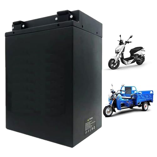 FREEDOH 48 Volt Ebike-Batterie 48 V Lithium-Ionen-Batterie 48 V wiederaufladbare Batterie 48 V 60 Ah 55 Ah 50 Ah 40 Ah Motorradbatterie für 0-3000 W Motorkit,48v50ah von FREEDOH