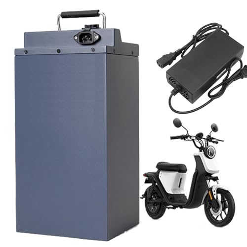 FREEDOH 48V E-Bike Akku 15Ah 20Ah 25Ah 30Ah 40Ah 45Ah 50Ah 55Ah 60Ah 65Ah Lithiumbatterie 48V Ersatzakku mit Ladegerät für 0-3200W Motor,48v25ah von FREEDOH