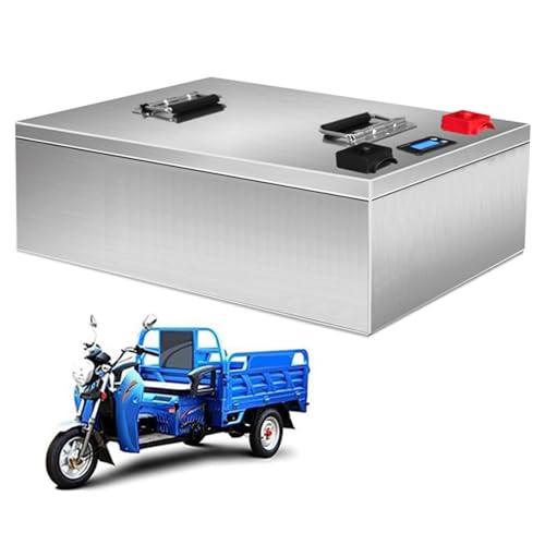 FREEDOH 60-V-Lithium-Eisenphosphat-Batterie, 72-V-Lithium-Batterie, 40 Ah, 52 Ah, 100 Ah, Motorradbatterie für 50-7200 W Moped-Dreirad-Motor-Kit,60v52ah von FREEDOH