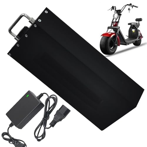 FREEDOH 60-V-Motorradbatterie, 48-V-Batterie für elektrische Zweiräder, 18,2 Ah, 20,8 Ah, Lithium-Ionen-Batterie mit BMS und Ladegerät für 0–1300 W Motor,60v18.2ah von FREEDOH