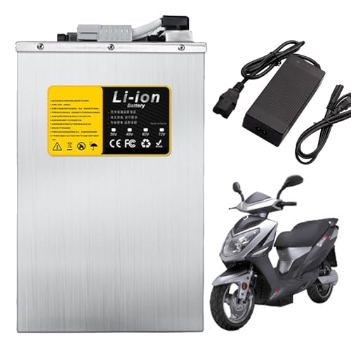 FREEDOH 60 Volt Elektromotorradbatterie 60 V Li-Ionen-Batterie 60 V E-Bike-Batterie 50 Ah 55 Ah 60 Ah Lithium-Batteriepack für 0-3600 W Mopedmotor,60v55ah von FREEDOH