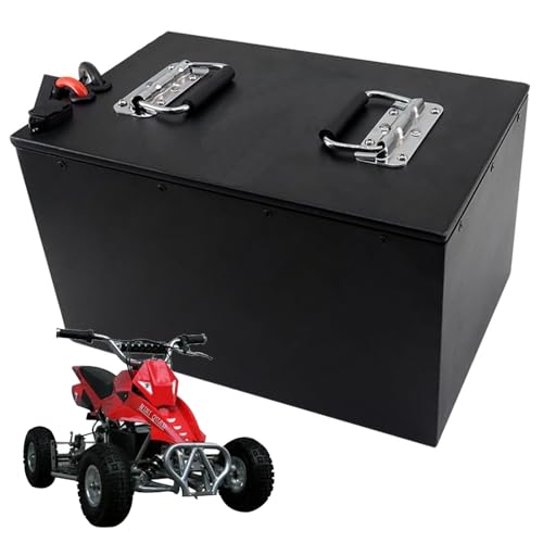 FREEDOH 60 Volt Motorradbatterie 60 V Lithiumbatterie 60 V E-Bike Li-Ionen-Batterie 50 Ah 60 Ah 80 Ah 100 Ah Go Kart-Batterie für 50-6000 W Motor,60v50ah von FREEDOH