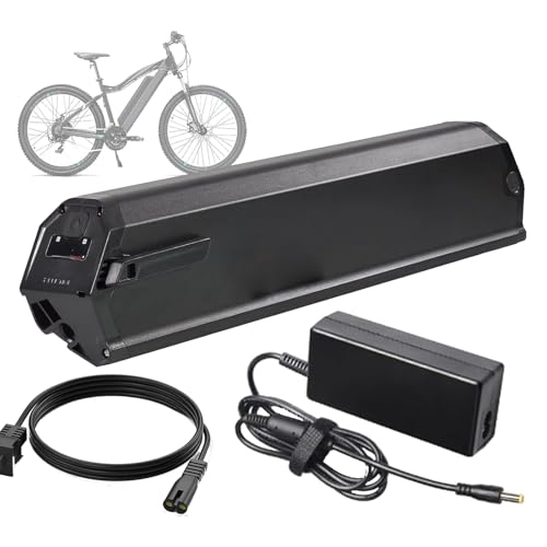 FREEDOH E-Bike-Akku 48 V 12,8 Ah Unterrohrakku 36 V 48 V Herausnehmbarer Akku 16 Ah 19,2 Ah 22,4 Ah 25,6 Ah Lithium-Ionen-Akku mit Ladegerät für 0–1300 W Motor,36v25.6ah von FREEDOH