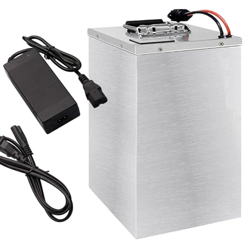 FREEDOH Elektromotorradbatterie 60 V Lithium-Ionen-Batterie 40 AH 52 AH 60 AH 75 AH 100 AH Ersatzbatterie 60 V für 0-6000 W Motor mit Ladegerät,60v52ah von FREEDOH