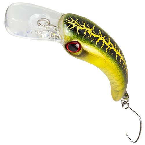 FTM Wobbler Masu 1, 2g 2, 9cm - Forellenwobbler zum Spinnangeln, Miniwobbler zum Forellenangeln, Forellenköder zum Spinnfischen, Farbe:grün/goldfarben/silberfarben FTM Wobbler Masu 1, 2g 2, 9cm - Forellenwobbler zum Spinnangeln, Miniwobbler zum Forellenangeln, Forellenköder zum Spinnfischen, Farbe:grün/goldfarben/silberfarben von FTM