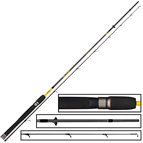 Tubertini Virus Power 1,80 2-6g - Ultra Light Rute zum Spinnangeln auf Forellen, Spinnrute zum Forellenangeln, Forellenrute für Spoons Tubertini Virus Power 1,80 2-6g - Ultra Light Rute zum Spinnangeln auf Forellen, Spinnrute zum Forellenangeln, Forellenrute für Spoons von FTM